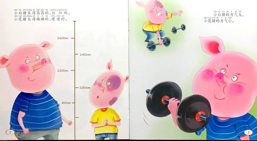 体育节之说运动一起来听老师讲故事五