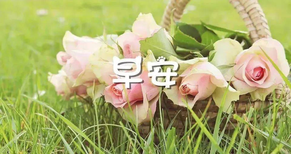 早上好发朋友圈动态祝福图片特别漂亮的早安动态表情图片大全