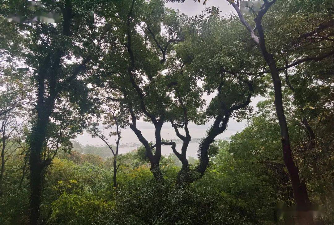 东坡迷妹们的寻苏之旅