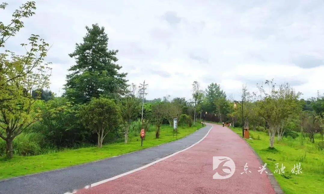 在绿廊漫步好惬意