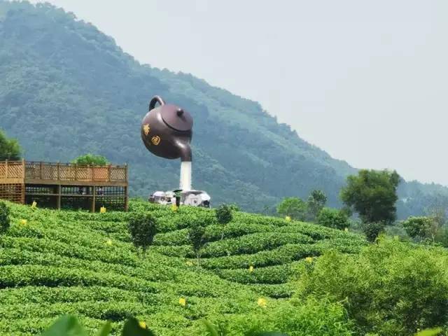 世界四大高香红茶---英德英红九号生产地之一【英州红茶趣园景区】,由