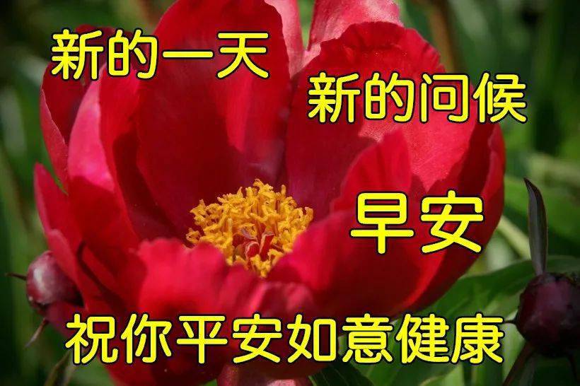 2020早上好問候祝福語句子,朋友圈早上好祝福語動態圖片帶字