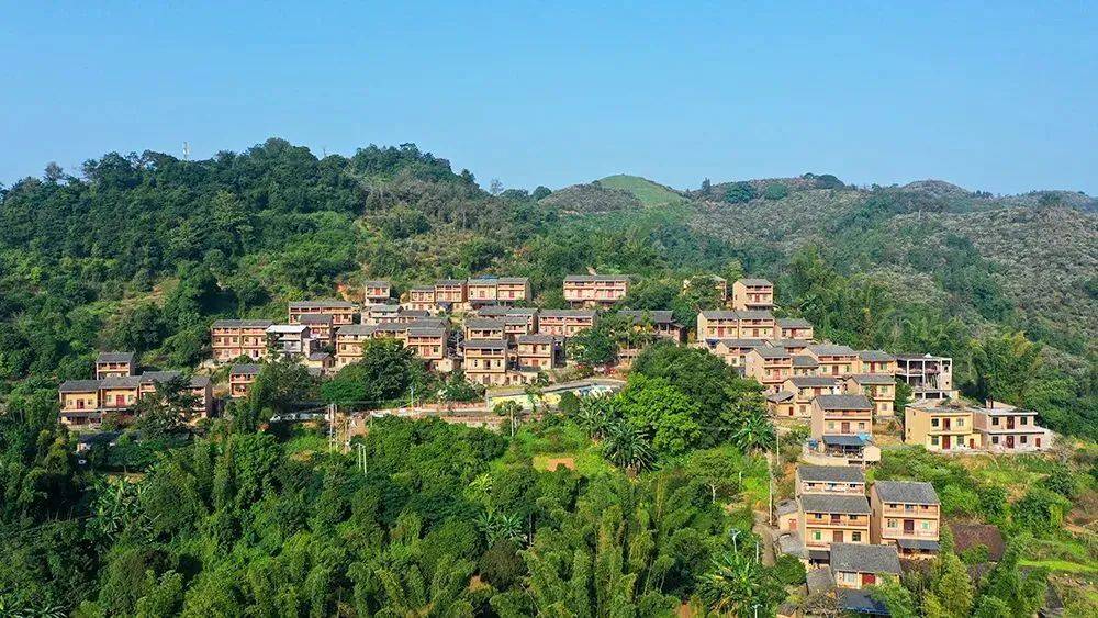 富宁坡芽!拜访将爱情进行到底的"国字号"小山村_芽歌