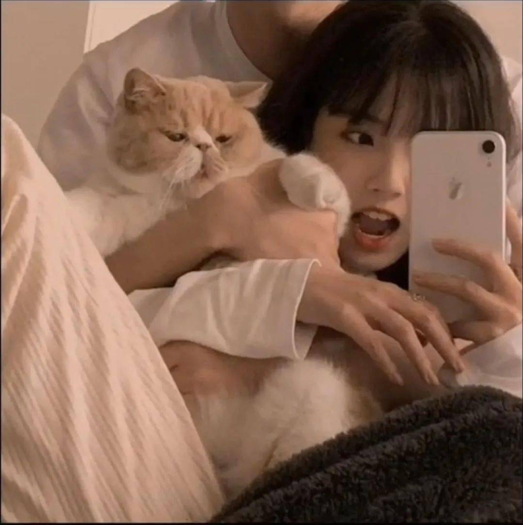 情头丨情侣头像