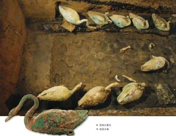 青铜水禽坑