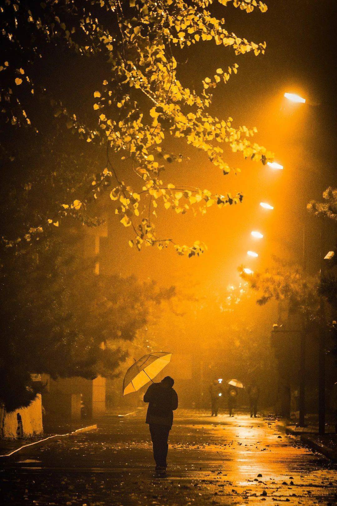 天淡天清 宿雪沾襟夜色中不眠的灯色拂去了夜归人肩上的风雪陪伴本身