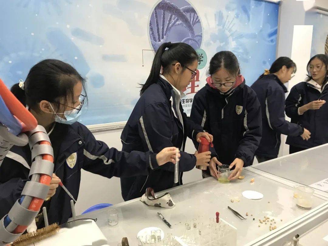 初中部"从教走向学"生物公开课_手机搜狐网