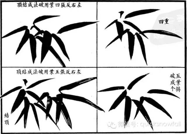 简明竹谱竹子的画法