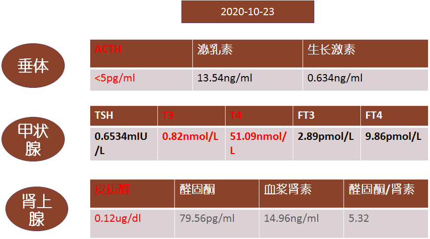 病例分享hp伴发高乳酸血症
