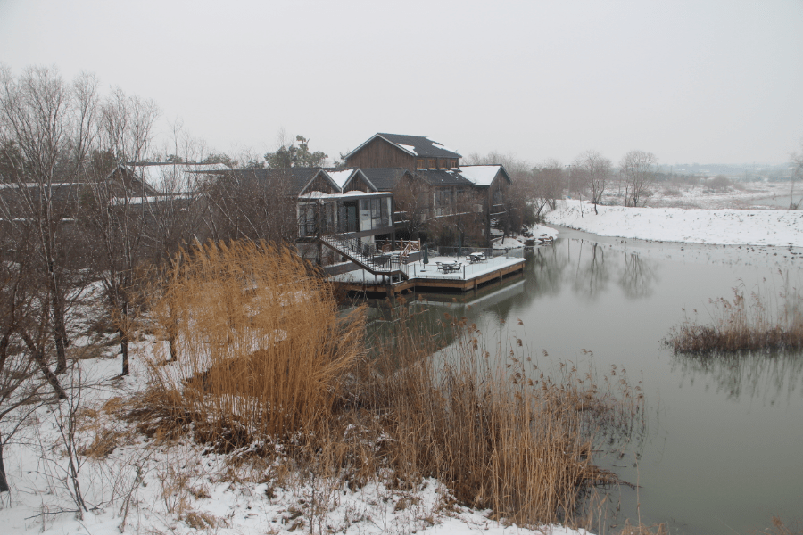 古镇烔炀银装裹 雪景乡村美如画