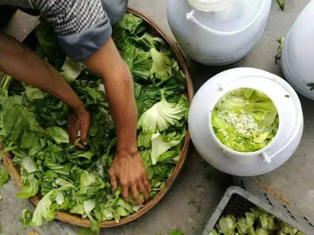 乡味故乡的味道又是一年腌咸菜的时节