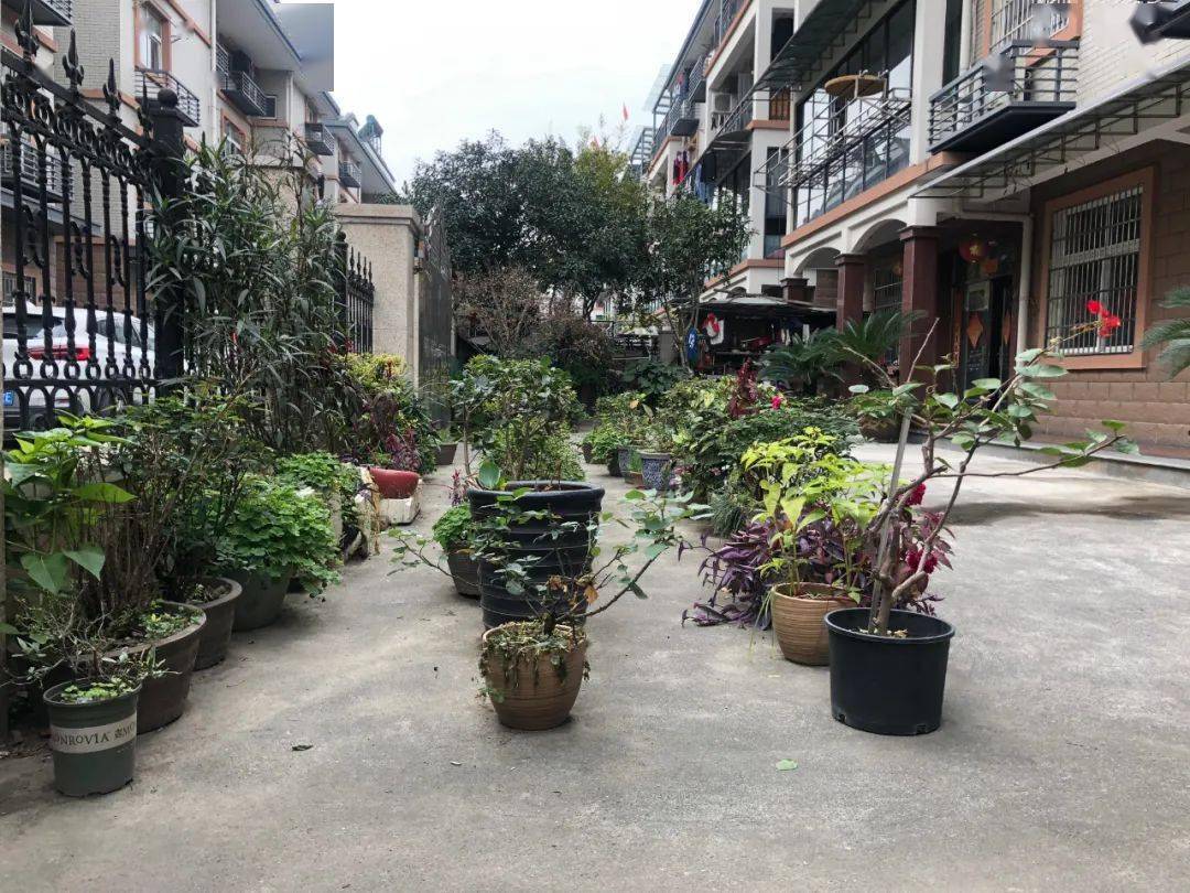 可栽花,可种树,可放置景观鱼池,也可搭配宠物小屋,高低错落有致,假山