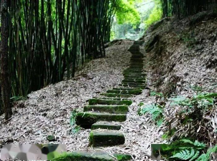 活動已成行12月20日徒步仙山頭松嶺古道環線