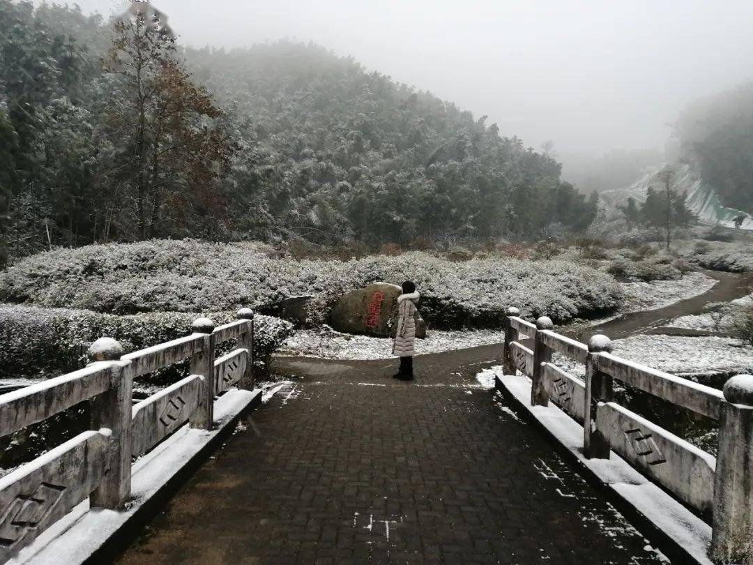 2020覆盖全梅岭的第一场雪