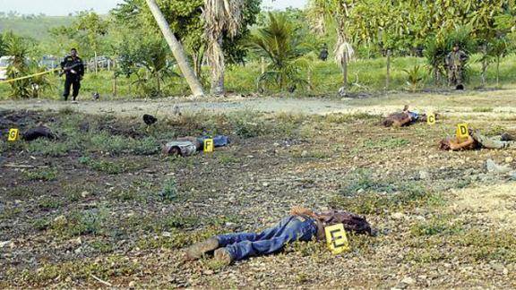 遍地腐尸的农场尸体研究场所尸体农场