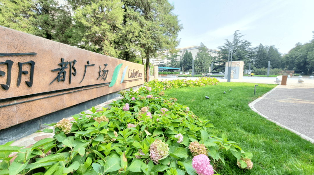 2019年,结合创建国家卫生区攻坚工作,朝阳区启动丽都国际商务生活区