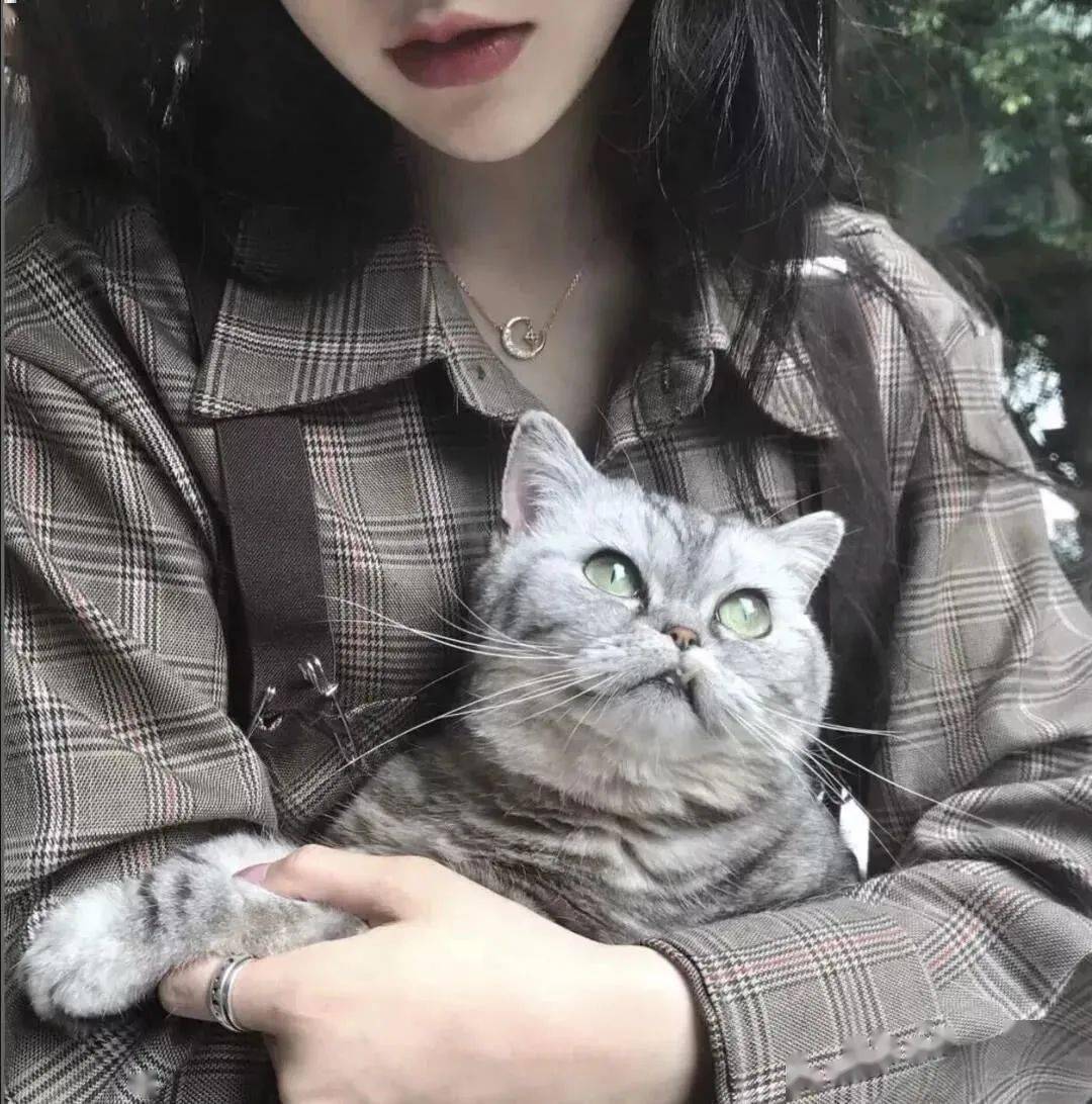 头像图片丨女生头像丨可爱的猫系女头1214
