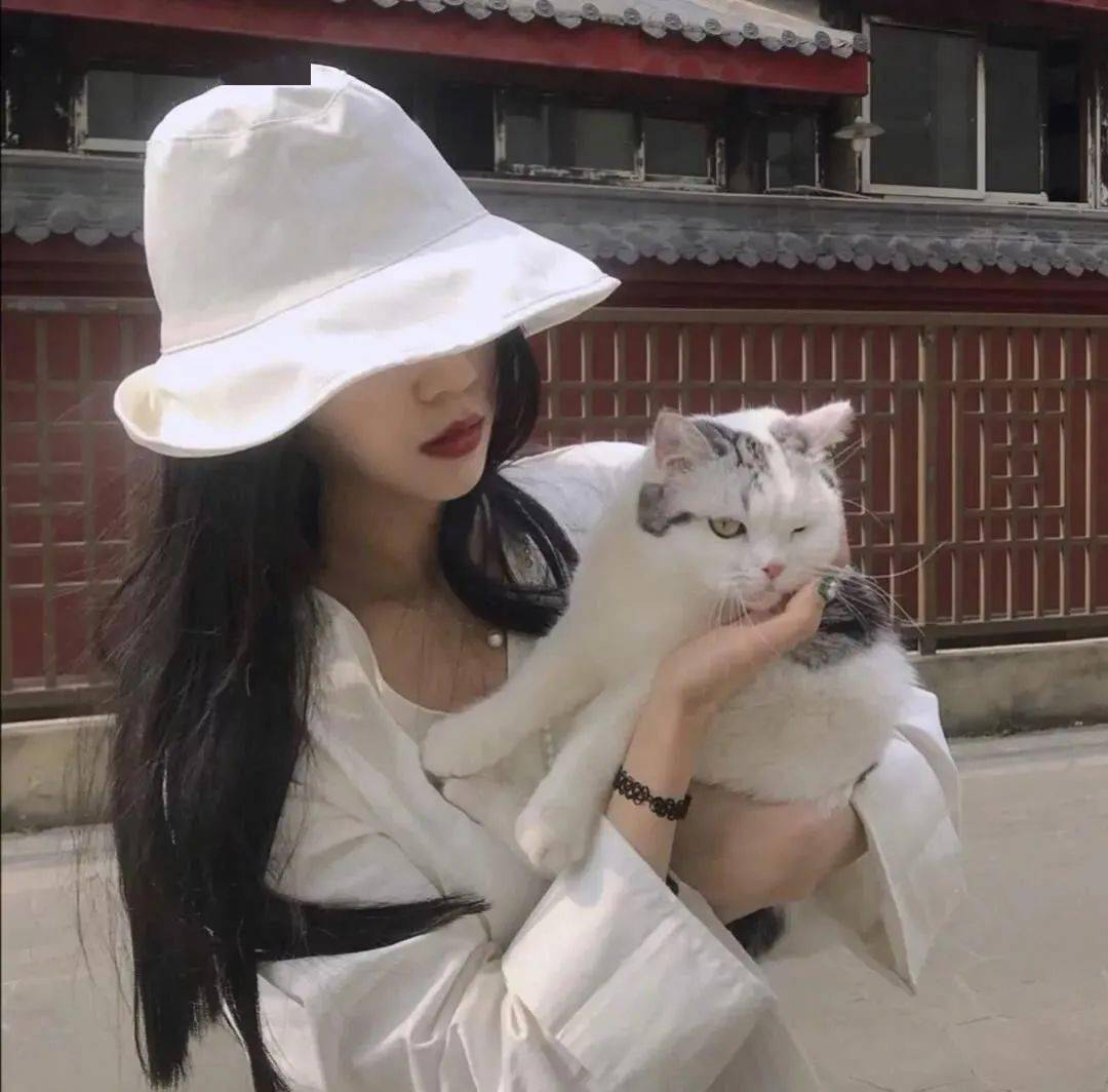 猫系女生长相图片