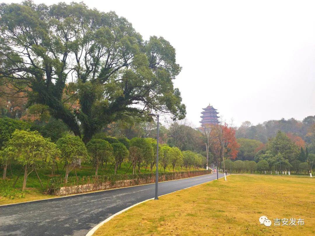 遇見美麗江西 | 神岡山公園:生態畫卷徐徐開_吉安