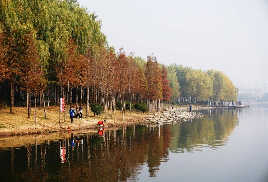 郑州市区有这么多湖!你都去过吗?