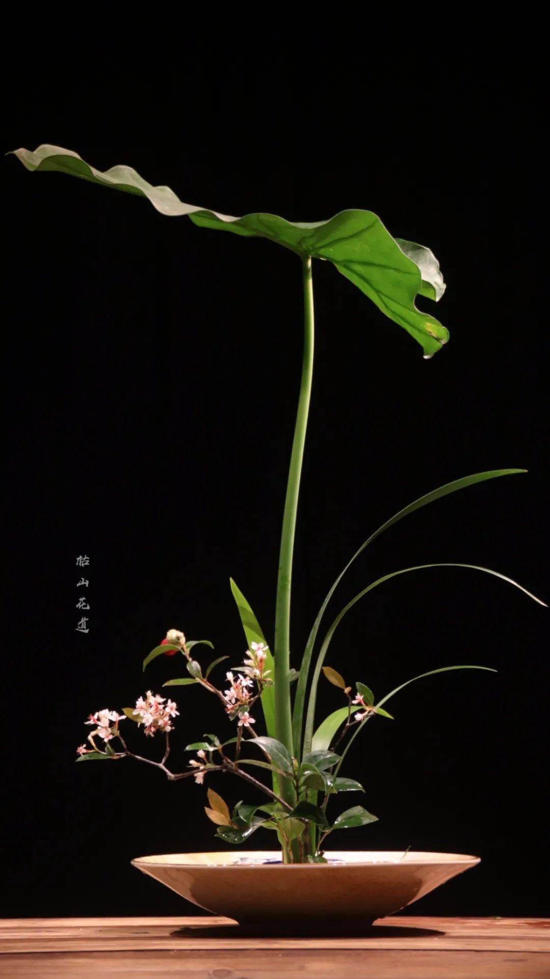 盘花让你轻松学会