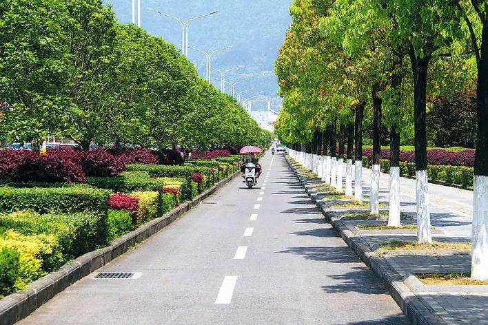 州城城市道路绿化效果机智和智能组团出道每天黎明尚未来临,市民