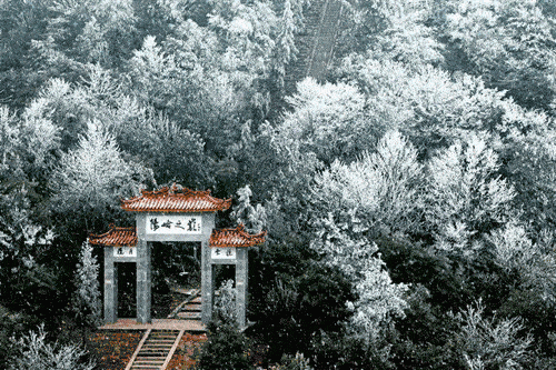 500_333gif 动态图 动图