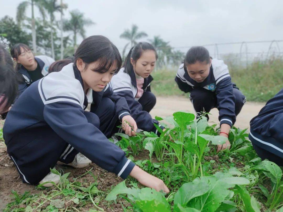 漳浦县丹山中学图片