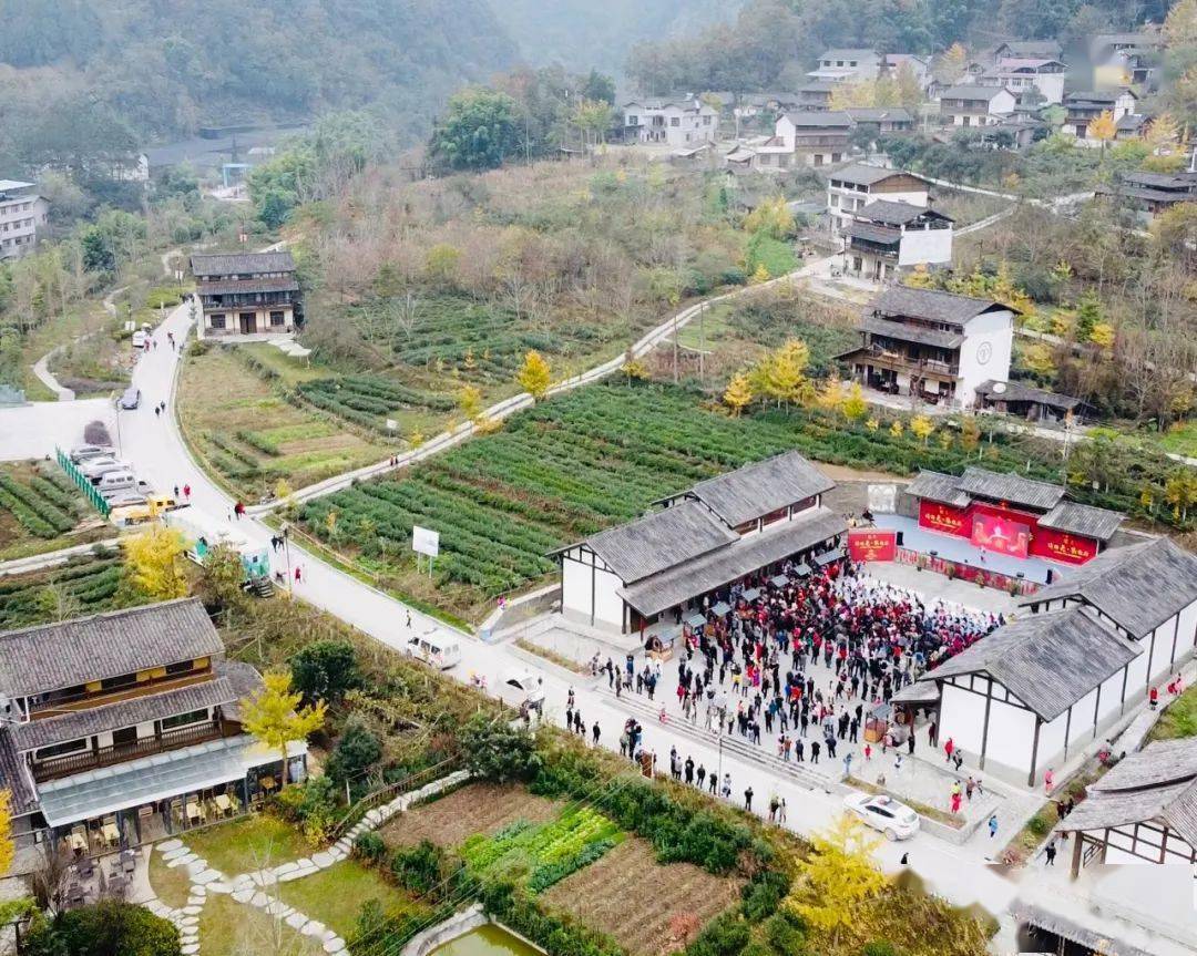 平武茶香小镇图片