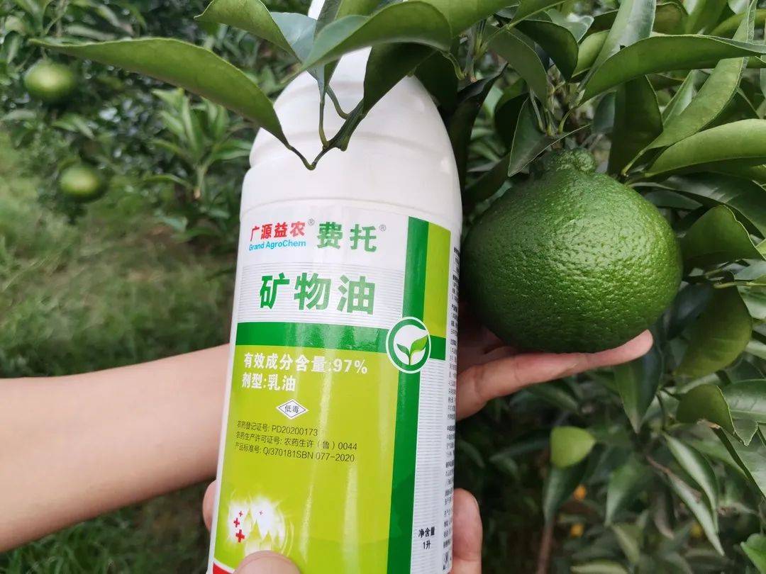 每周优品费托97矿物油乳油