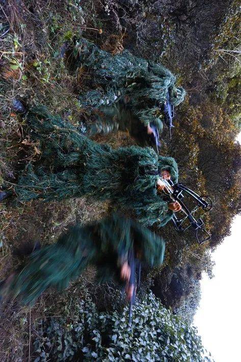 血脉喷张直击武警部队魔鬼周训练