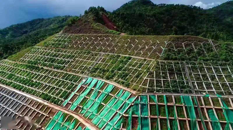 大丰华高速土建施工进入收尾阶段_高边坡