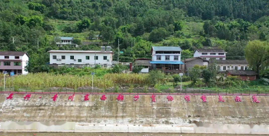 位于青川县竹园镇西南方向的河口村曾被列为贫困村,以前,河口村道路