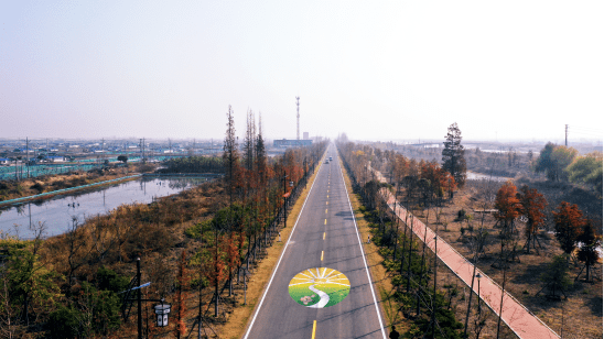 喜讯!泗洪又在这些地方新建了公路,快看看有没有你的家乡