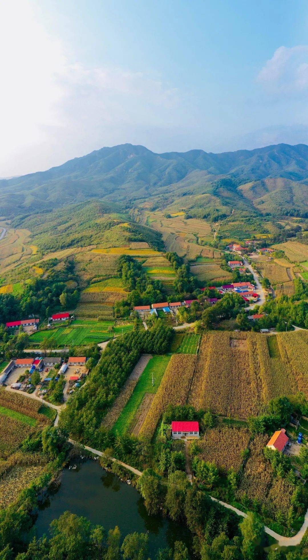 所有人庄河来宝沟要火啦纪录片来宝沟明天开播