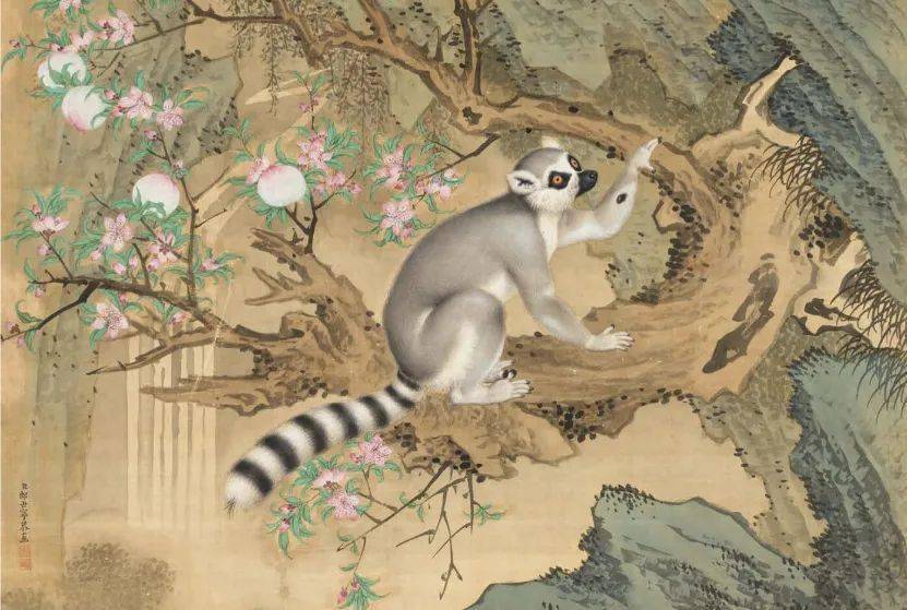 清 郎世宁 交趾果然图环尾狐猴乾隆皇阿玛说的这种神奇动物,不就是
