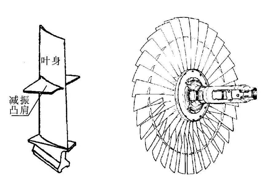 风扇叶片如何对抗飞鸟撞击