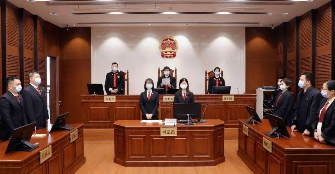 扫黑除恶最高判25年龙华法院一审公开宣判一起重大涉黑案