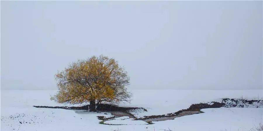 西凉的诗风雪山神庙