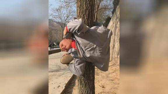 功夫罗汉直接捆绑在树上的小伙子