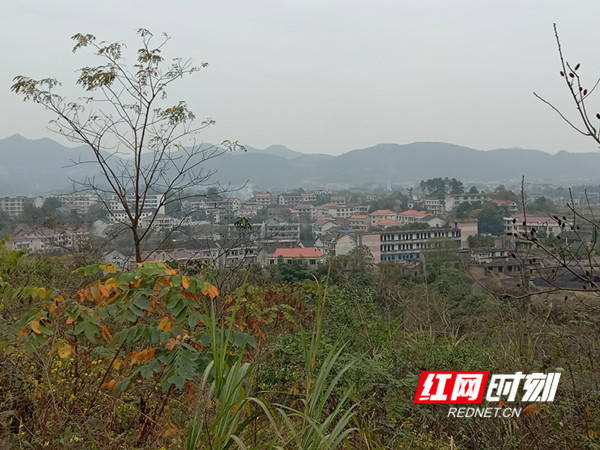 杨家滩湘军文化商业街的建设;完成了斗笠山镇香花村,茅塘镇石门社区等