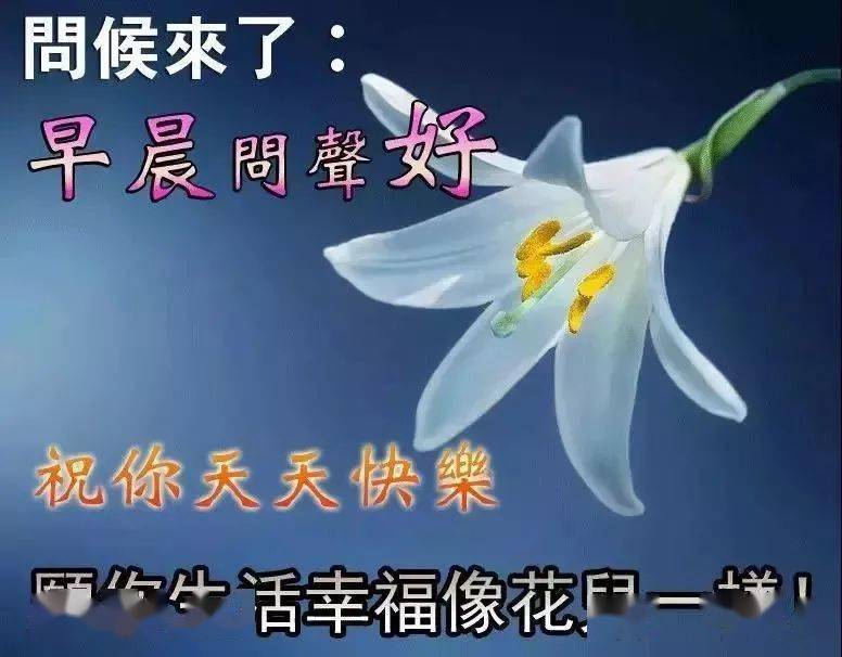 分享朋友圈可愛又漂亮的早上好問候圖片,新版漂亮的早上好圖片大全