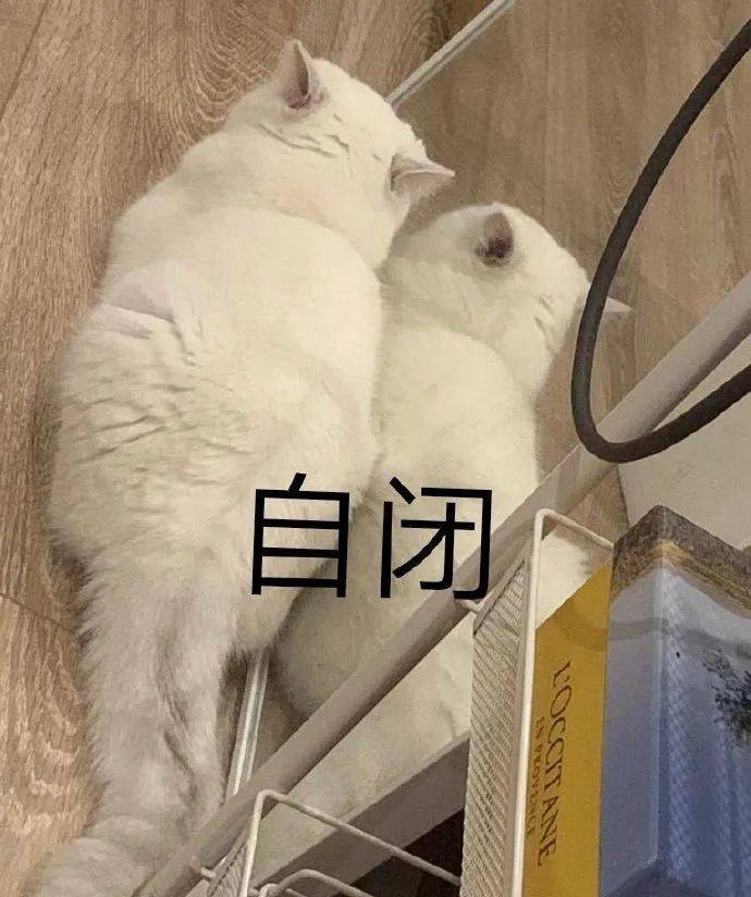 人家好怕怕_表情