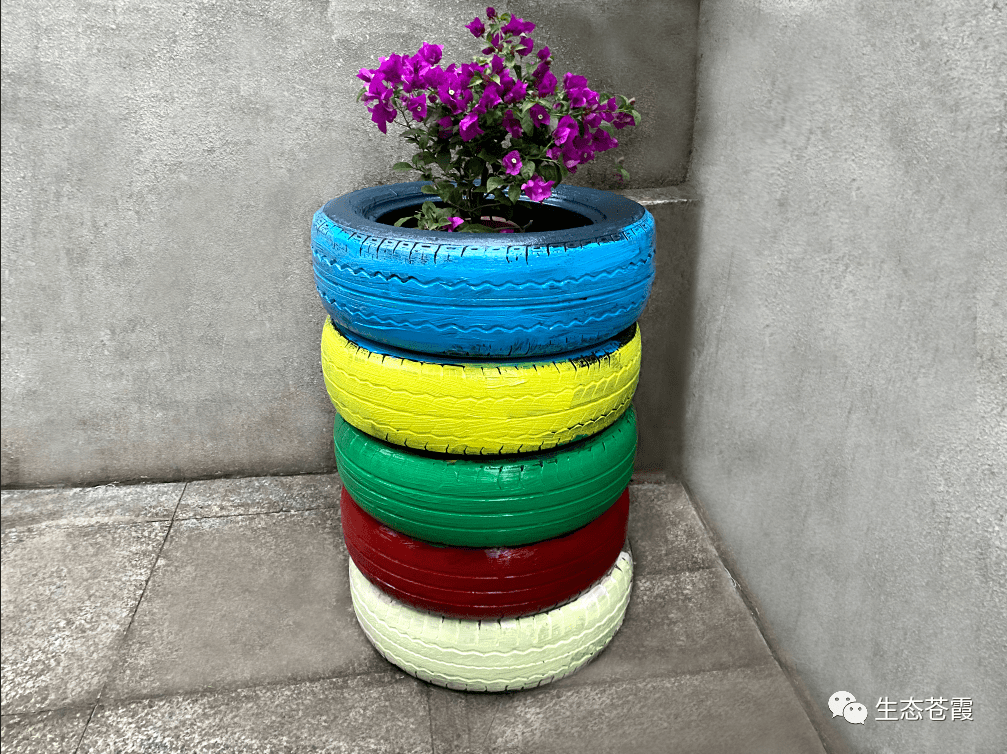 旧轮胎变大花盆!苍霞街道开展"美化家园,让垃圾不再落地"专项整治行动