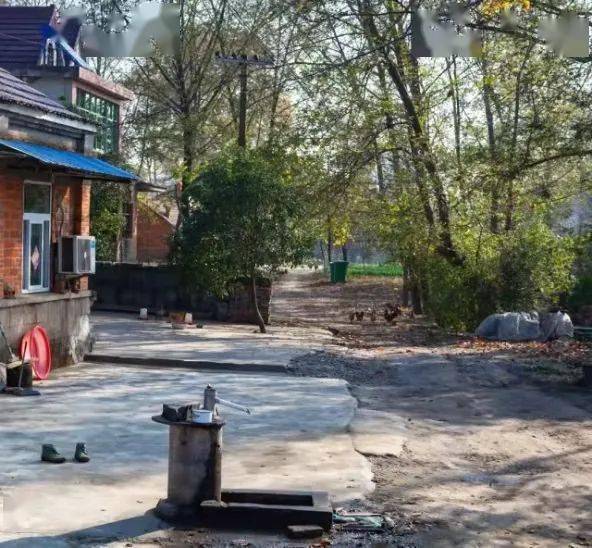 巢湖北部,苏湾镇司集西北处,有着一座村庄——下刁.