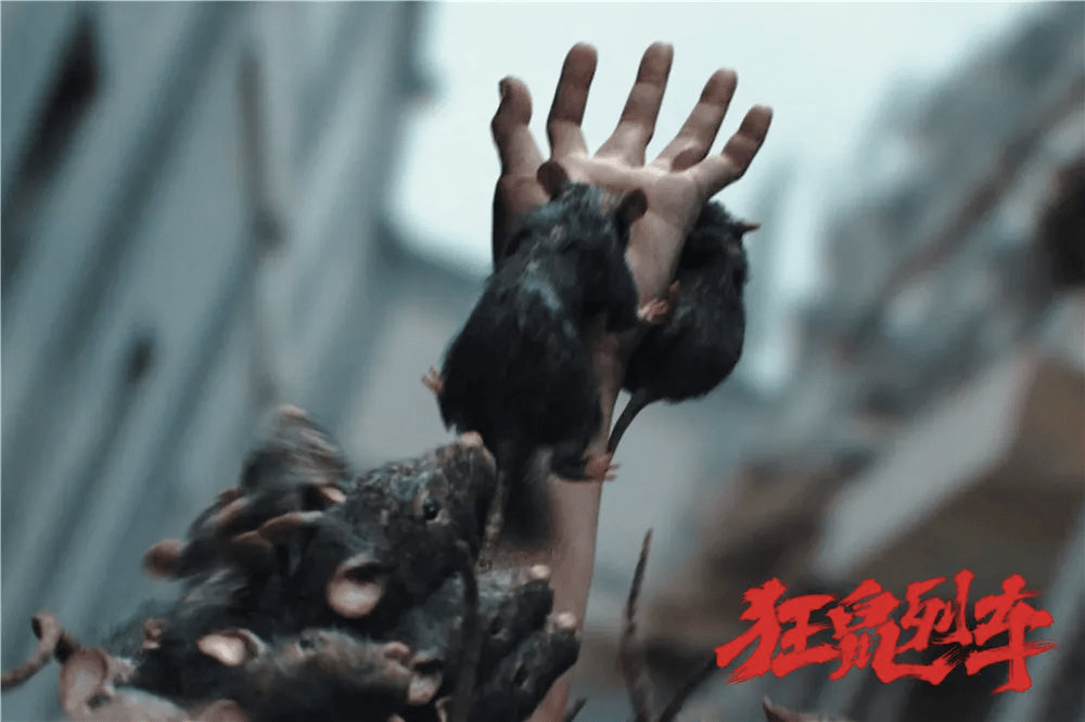 中国鼠灾电影图片