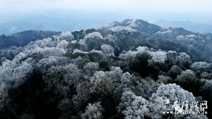 隆林金钟山壮美冰景