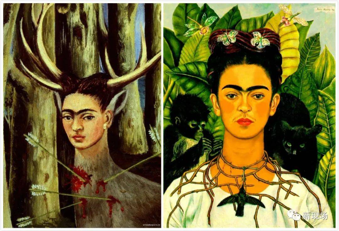 2020——愿离去是幸,愿永不归来_弗里达·卡洛