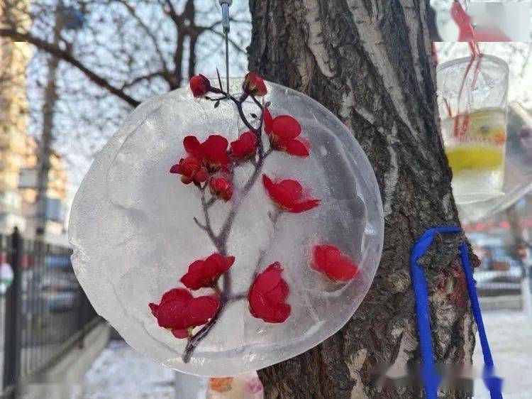 这位同学把自己的手工制作放进了冰灯,看起来像晃一晃就会下雪的水晶