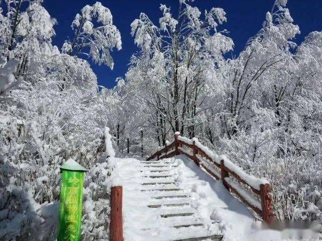 凤县岭南公园看雪图片